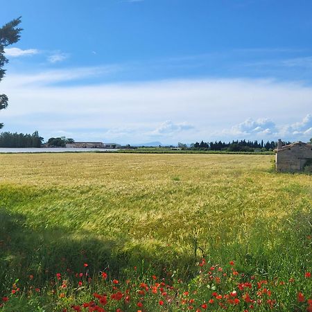 Villa L'Eden De Camargue- Spa Et Nature Candillargues 외부 사진