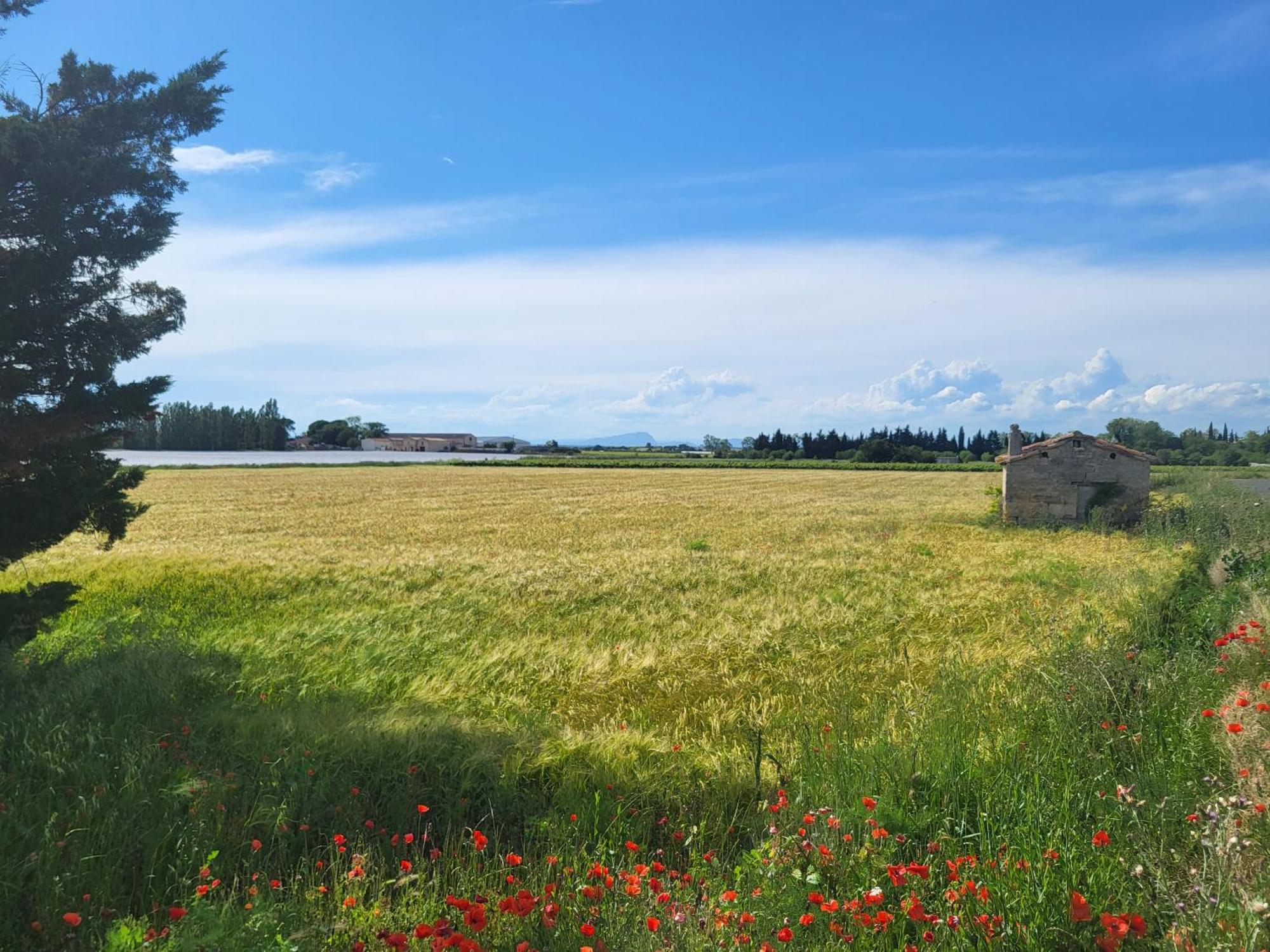 Villa L'Eden De Camargue- Spa Et Nature Candillargues 외부 사진